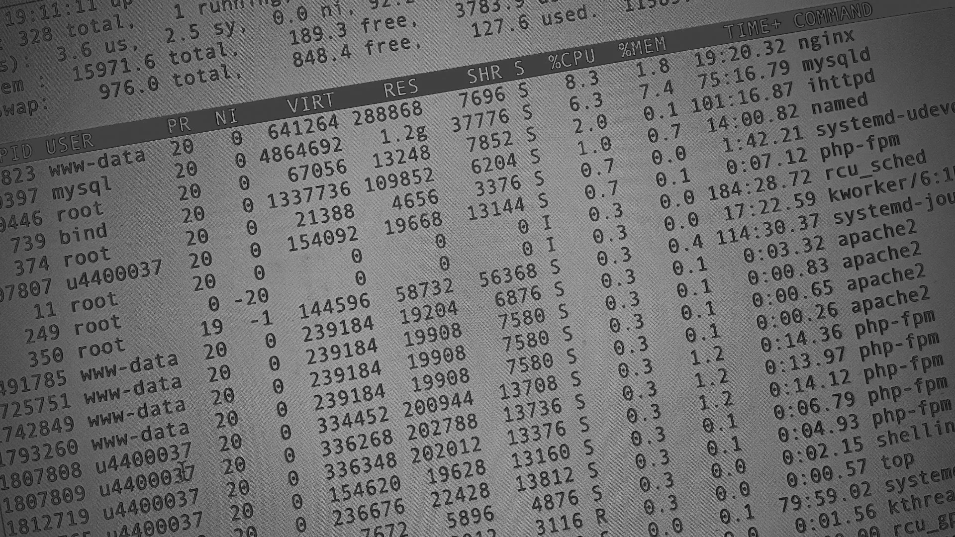 Настройка сервера в Буе Настройка сервера в Буе