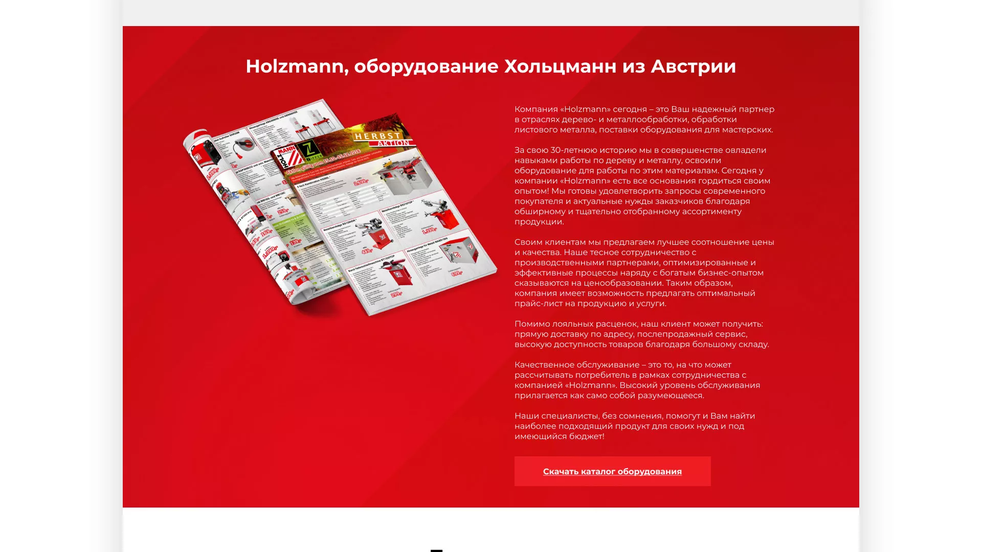Создание сайта компании «HOLZMANN Maschinen GmbH» в Буе