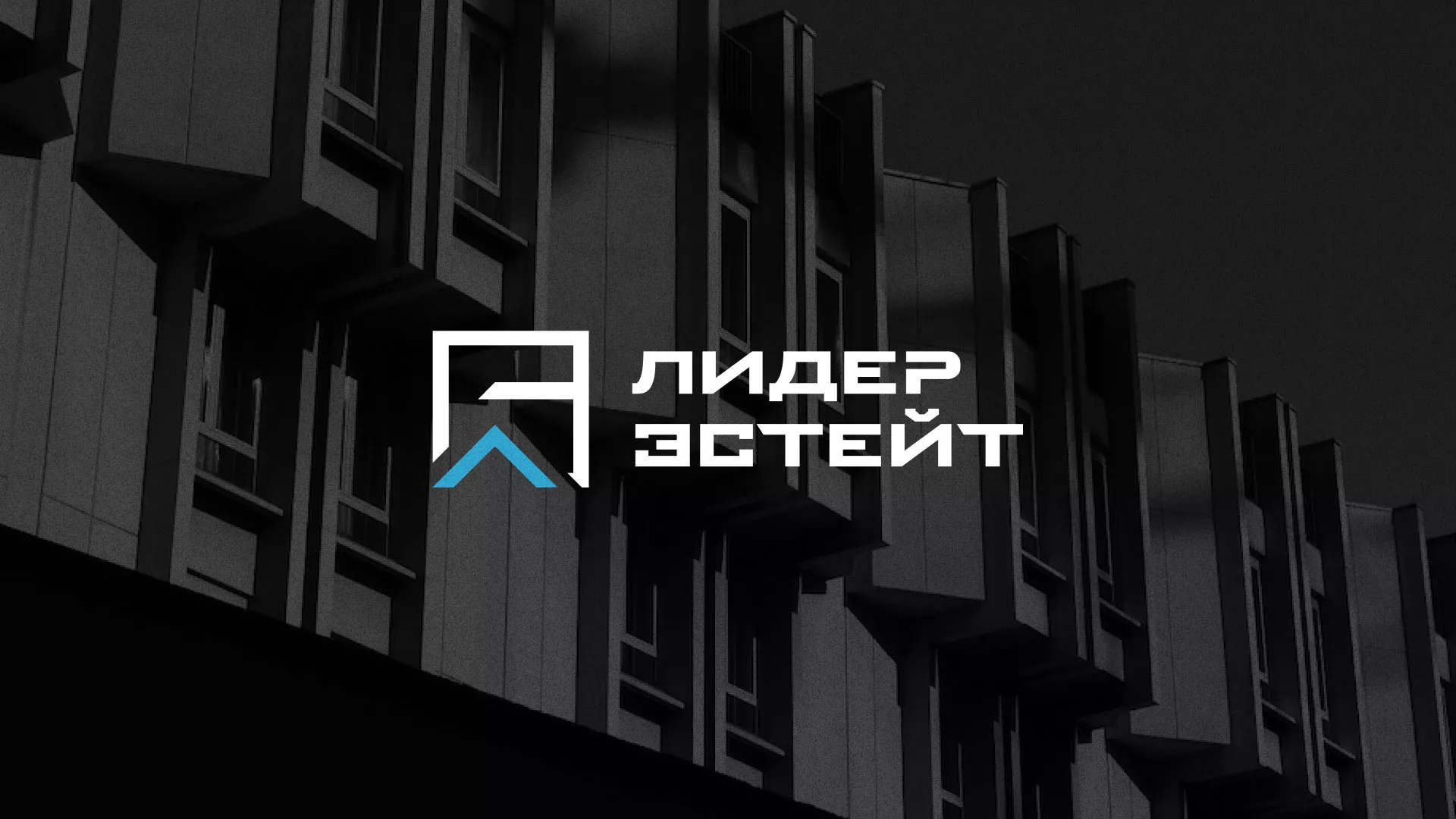Разработка логотипа агентства недвижимости «Лидер Эстейт» в Буе